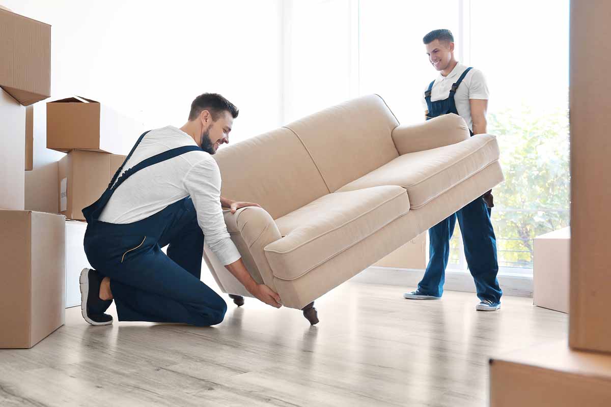 Maximizing Efficiency with Professional Removalists