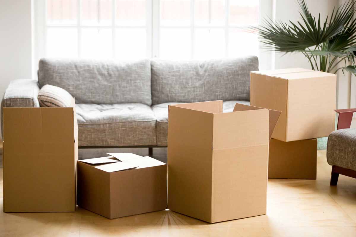 Moving Forward: Finding the Right Removalist